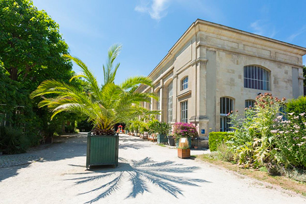 Le Jardin des plantes